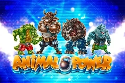Animal Power Animal Power