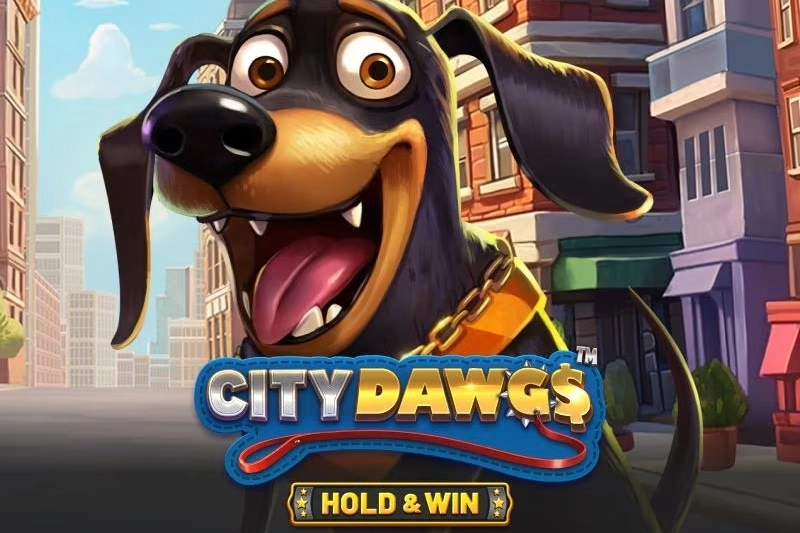 City Dawgs – Hold & Win City Dawgs – Hold & Win