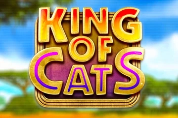 King of Cats King of Cats