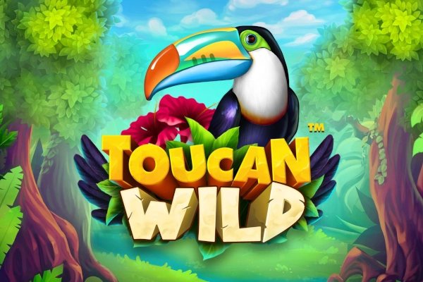 Toucan Wild Toucan Wild